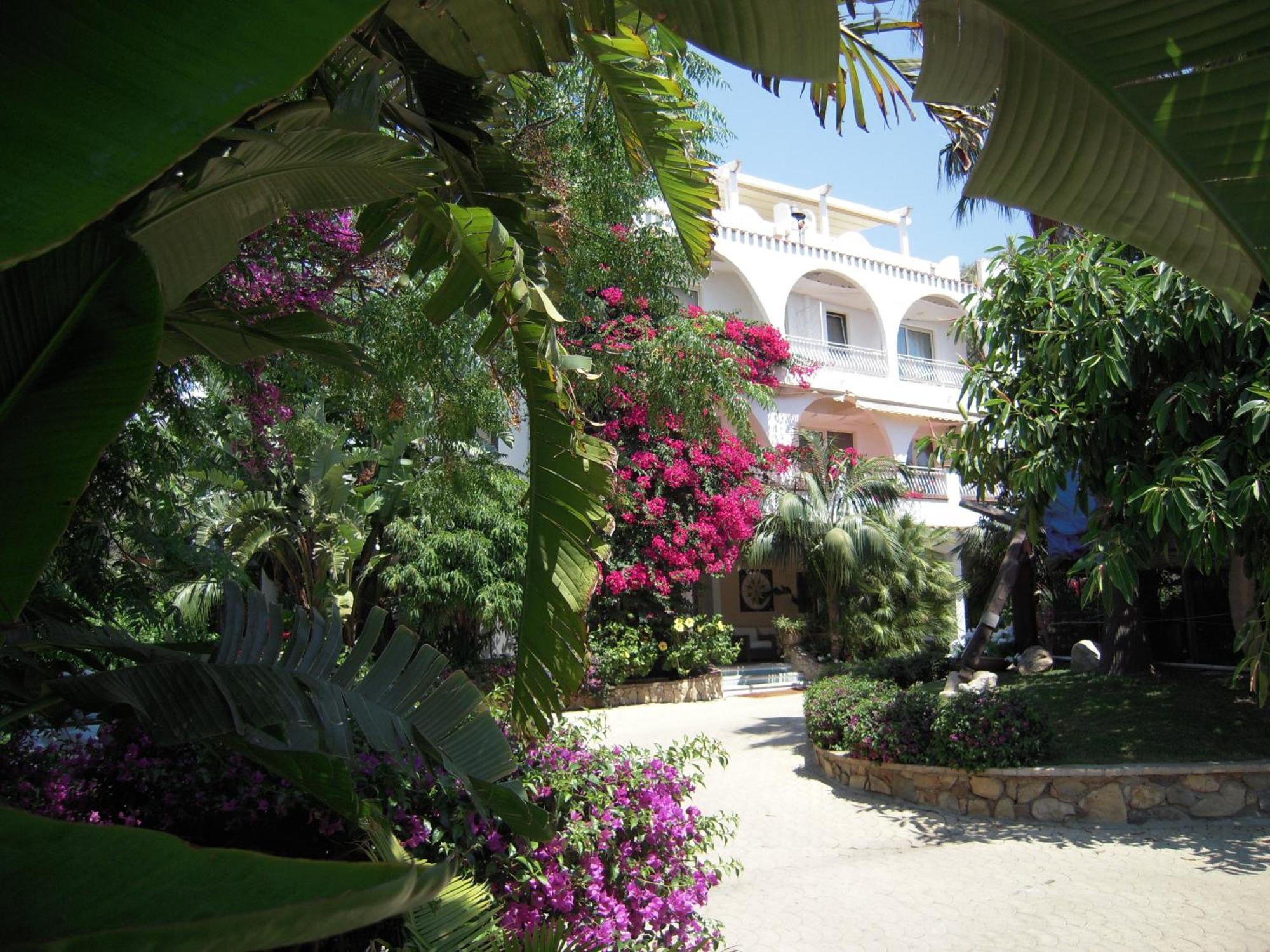 Hotel Simius Playa Вилласимиус Экстерьер фото